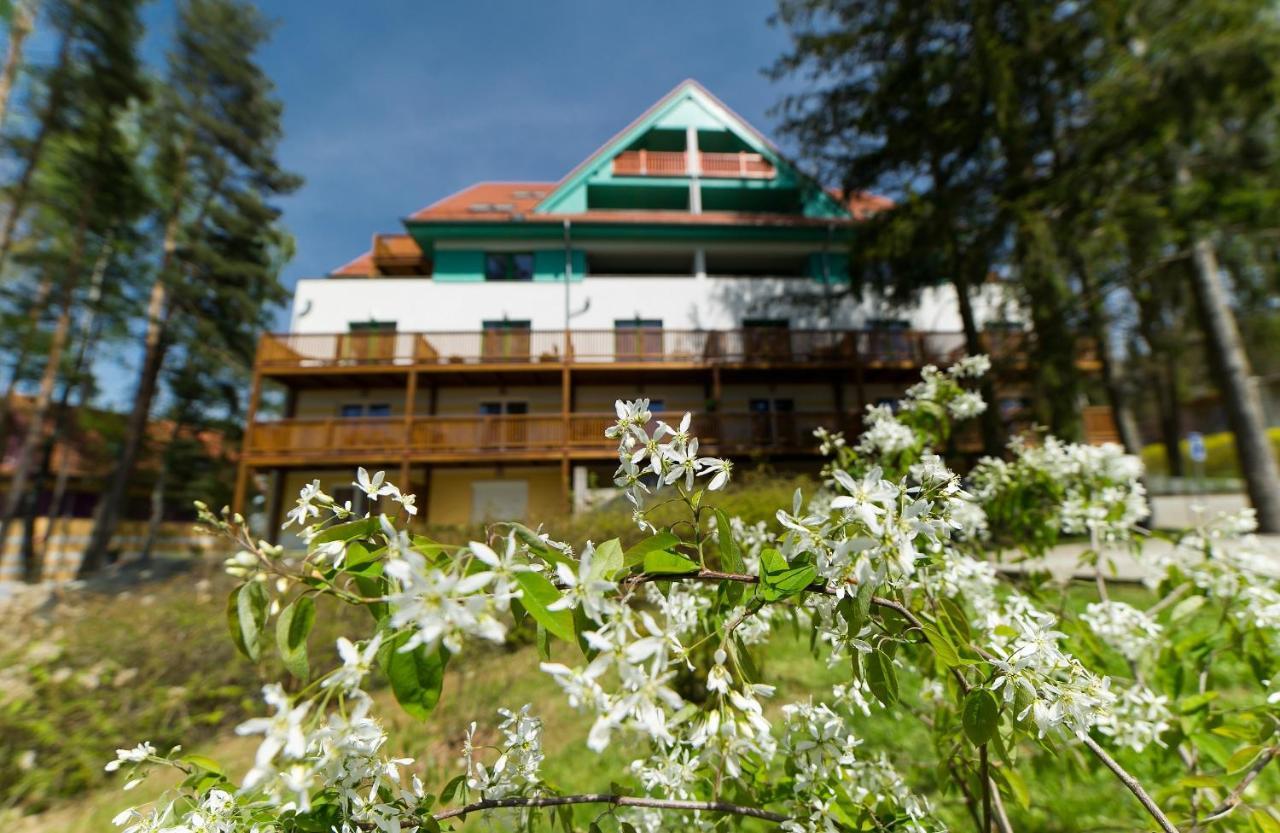 Apartmán Čtyřlístek Lipno Apartamento Lipno nad Vltavou Exterior foto
